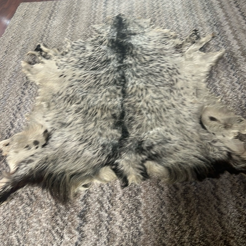 Goat Skin around 4ft tall by 3 ft wide, 30 years old, gift from Mission trip.
